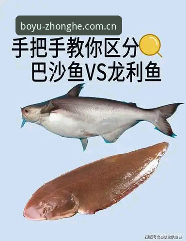 博鱼综合安装手机版实用指南：跨端体验、数据追踪与避坑要点